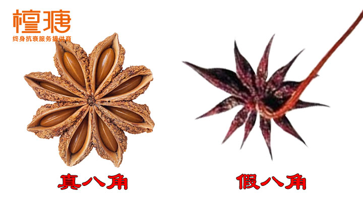 【营养厨房】调味料"八角"怎么挑选,记住这些技巧,杜绝"假八角"!